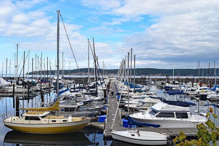 Marina John Wayne, Sequim