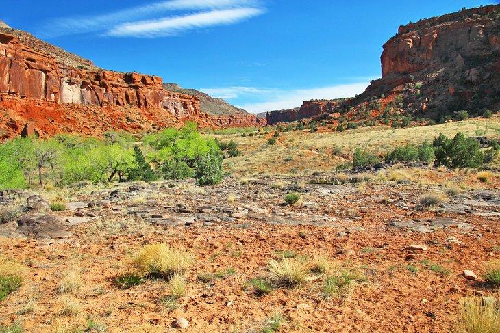 Canyon de Dominguez
