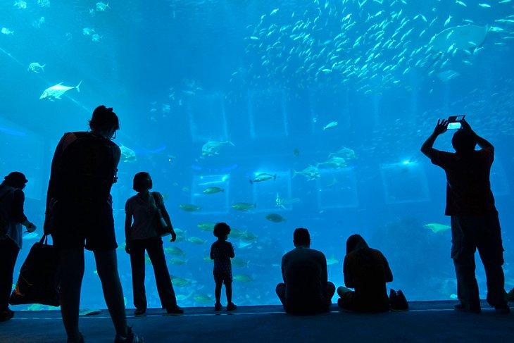 Acuario de Dubái