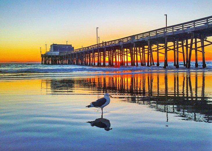Muelle de Newport Beach al atardecer