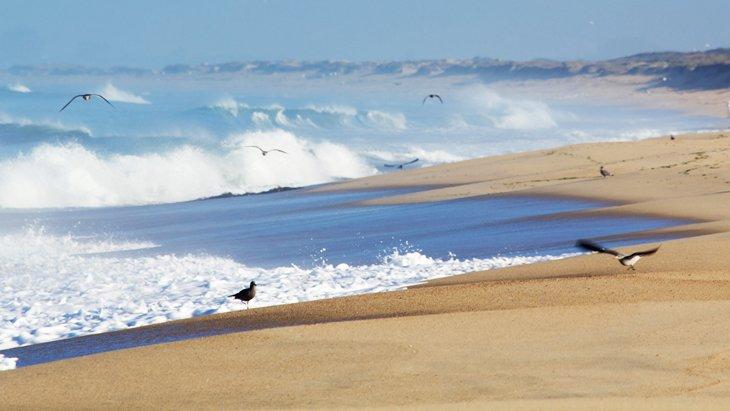 Playa Estatal de Monterey