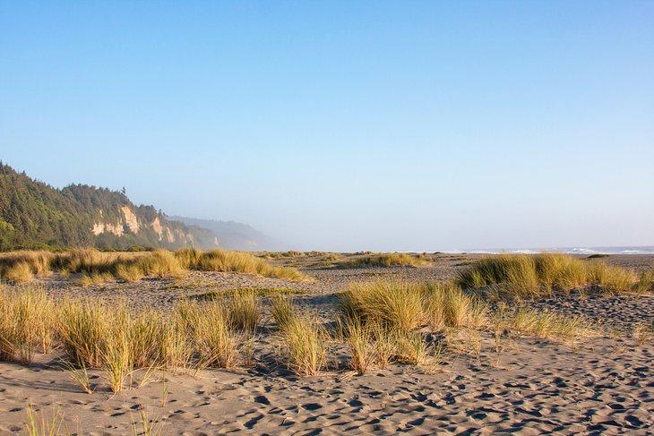 Playa Gold Bluffs