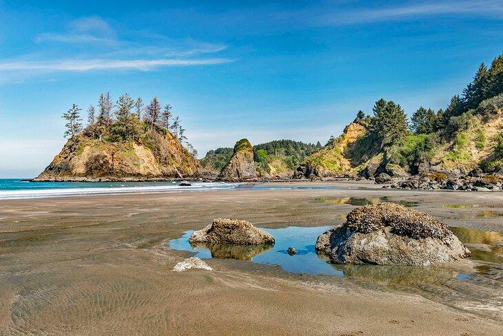 Playa Estatal de Trinidad, Norte de California