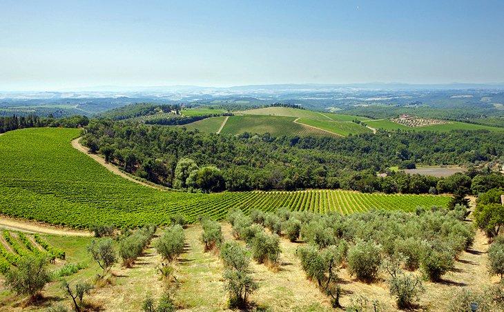 Monti del Chianti