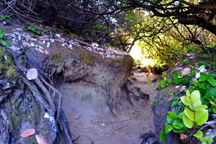 Der Weg führt zu Hobbit Beach