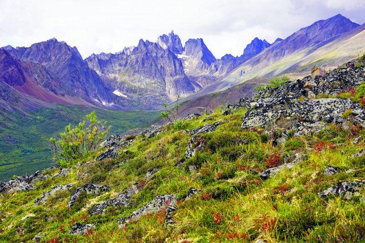 Vue depuis le sentier de Grizzly Lake