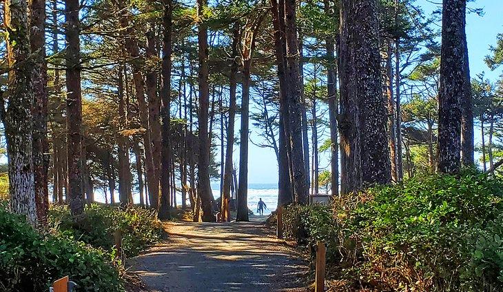 Acceso a la playa desde Surf Grove Campground