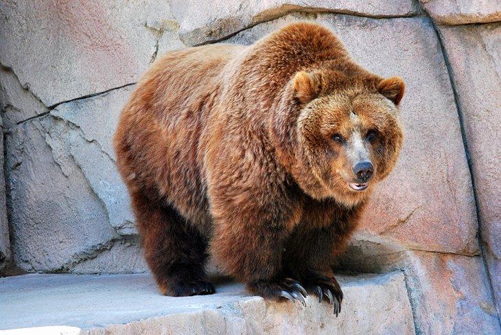 Zoo Henry Vilas