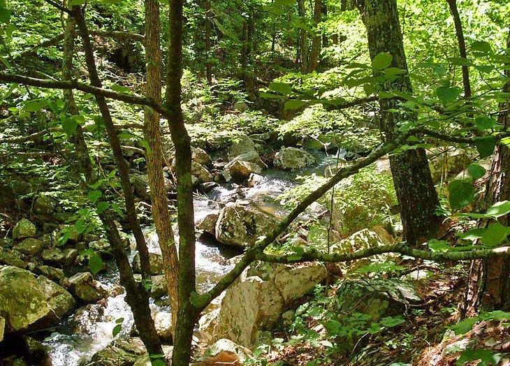 Cascada en el Área Recreativa Escénica Natural de McGee Creek