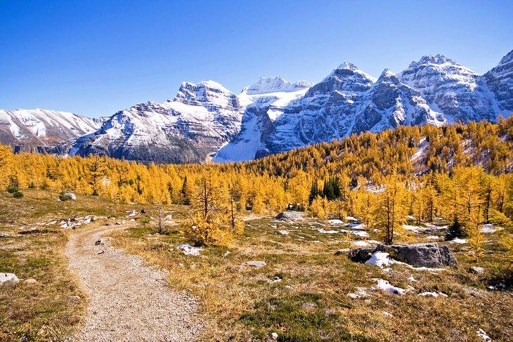 Sendero del Valle de Larch