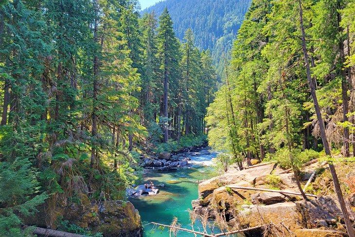 Río Ohanapecosh junto al campamento