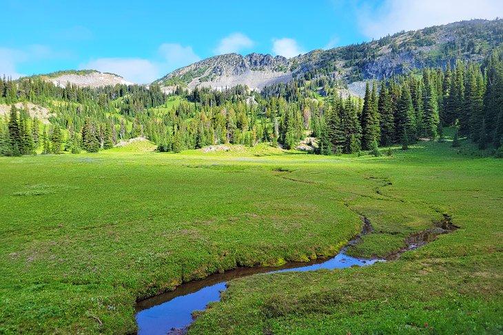 Pradera cerca del Campamento Amanecer
