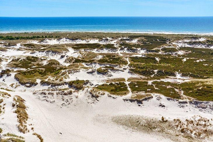 Vue du phare de Dueodde sur les dunes et la plage