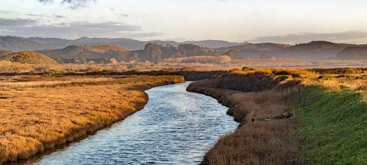 Reserva Natural de Pescadero Marsh