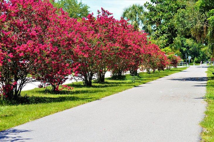 Sendero Pinellas