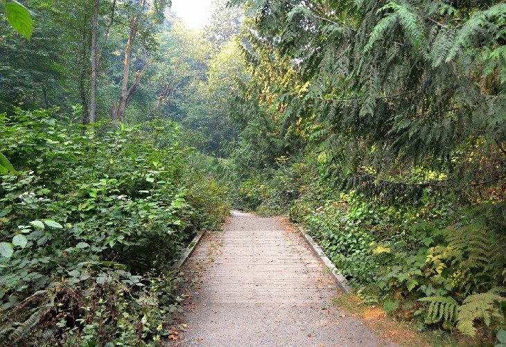 Sendero Pipers Creek en Carkeek Park