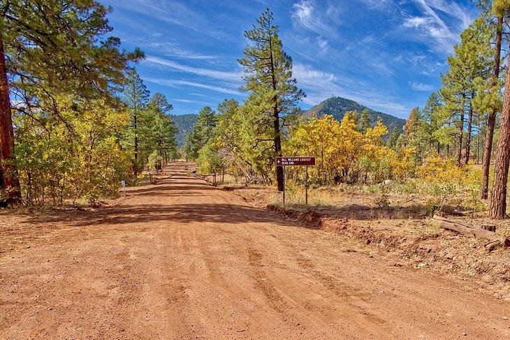Carretera de la Montaña Bill Williams