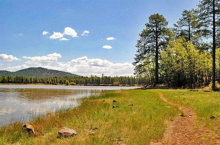 Sendero del Lago Dogtown