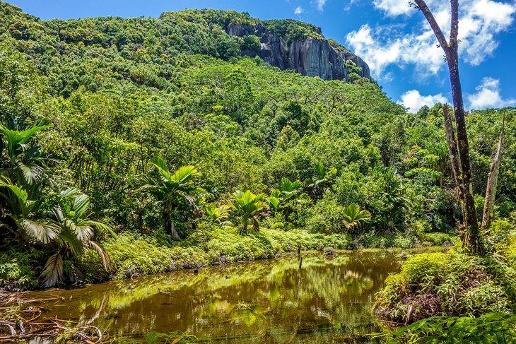 Parque Nacional Morne Seychellois