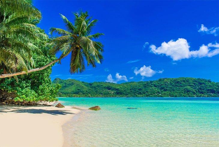 Anse À La Mouche