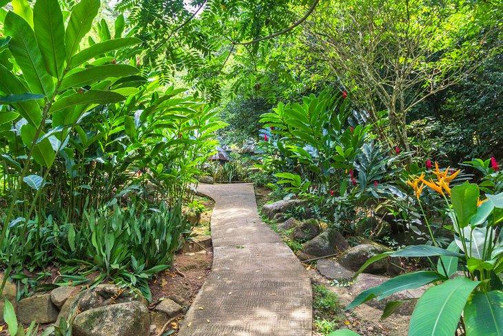 Jardín de Especias Le Jardin du Roi