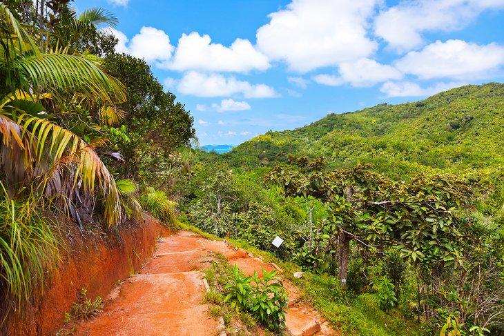 Vallée de Mai