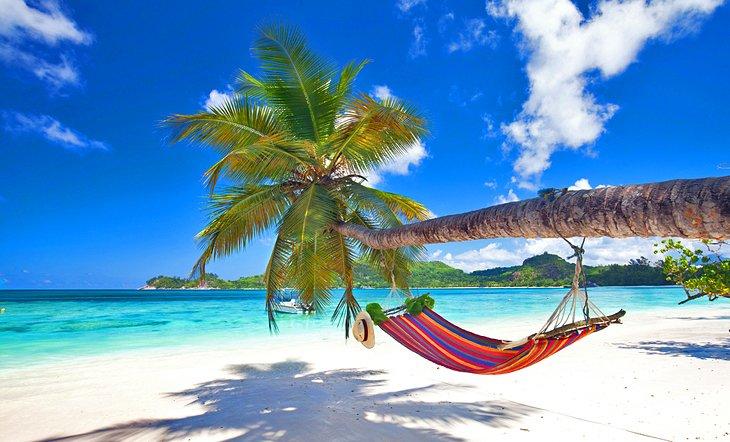 Una hamaca colgada sobre la playa en la isla Mahé