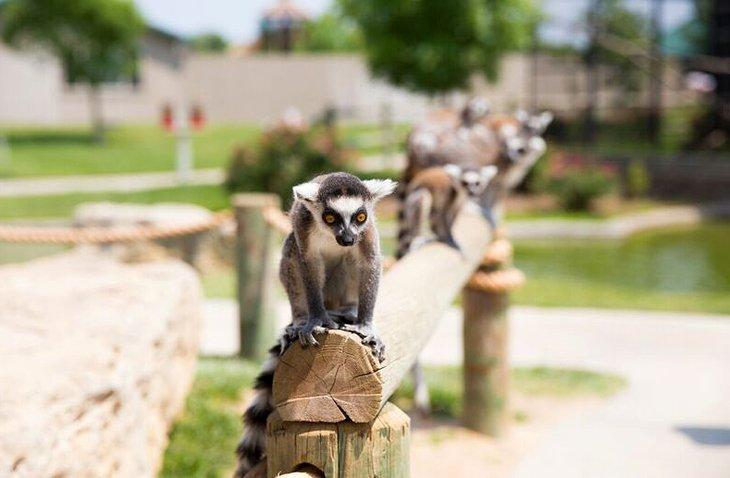 Parque de Vida Silvestre Tanganyika