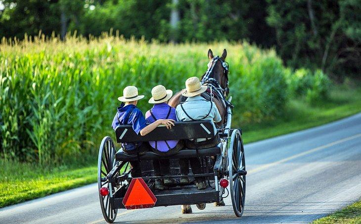 Carro Amish en el País Holandés