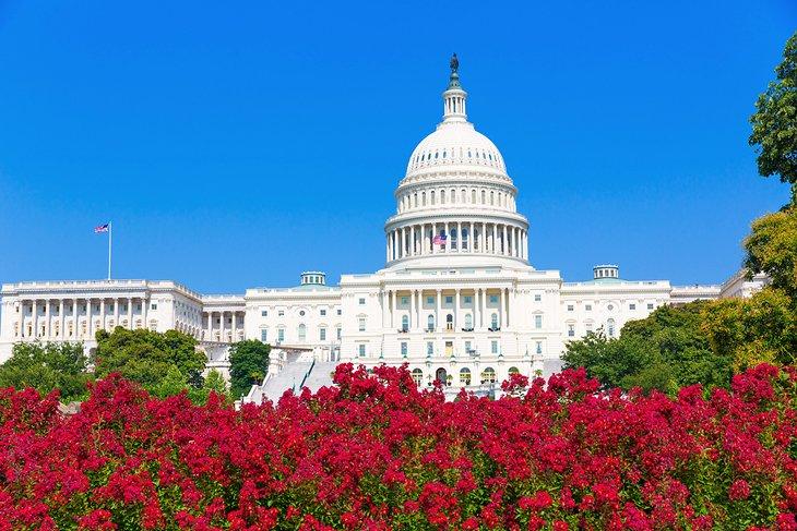 Capitole des États-Unis