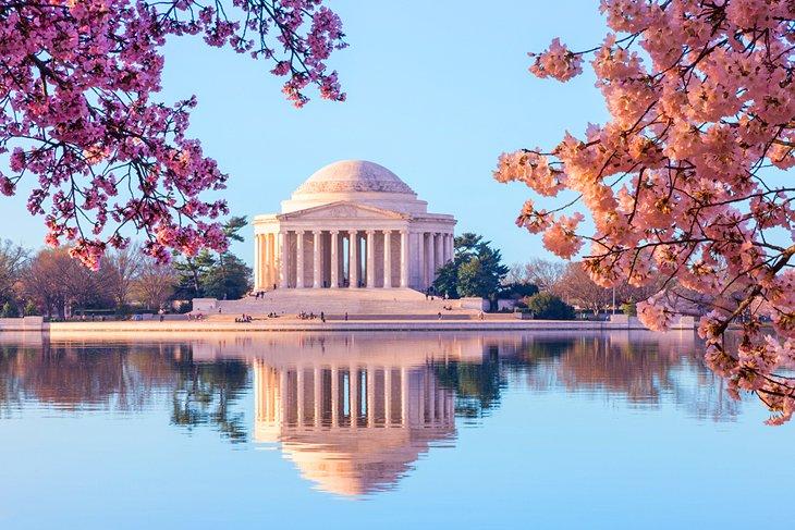 Mémorial Jefferson au printemps