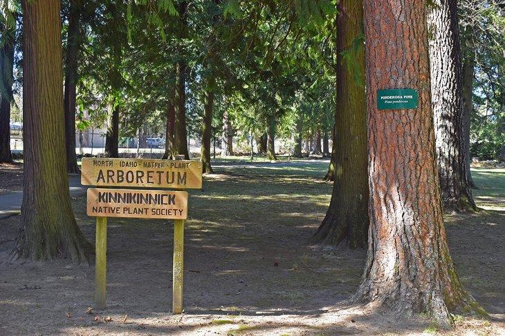 Arboretum de plantes indigènes au parc Lakeview