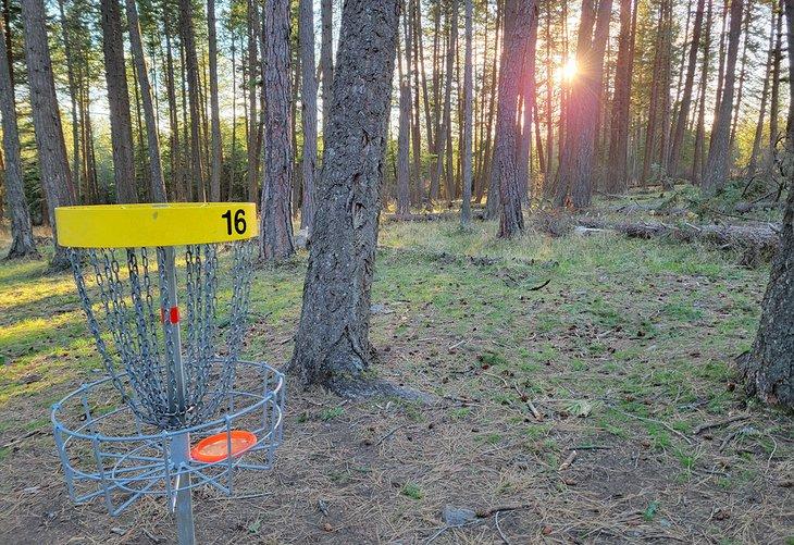 Parcours de disc-golf au parc d'État de Farragut