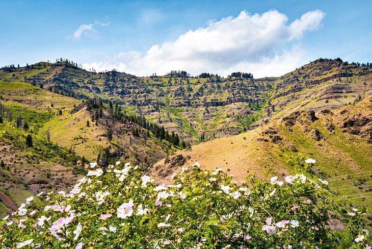 Área Recreativa Nacional Hells Canyon