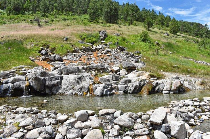 Manantial en el Camping Kirkham, Bosque Nacional de Boise