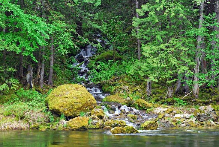 Pequeño arroyo alimenta el río Lochsa en Idaho