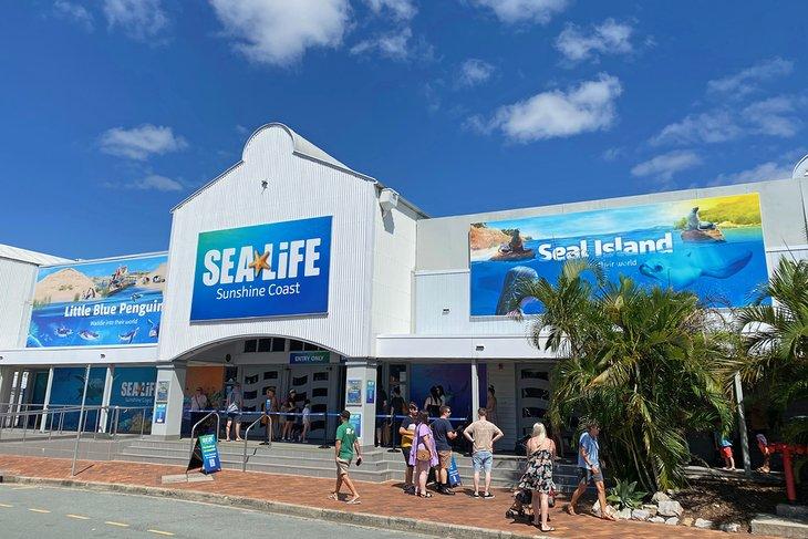 Acuario SEA Life Sunshine Coast