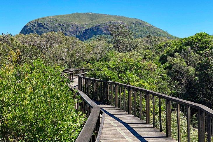 Monte Coolum