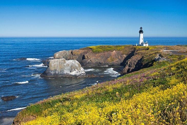 Faro de Yaquina Head