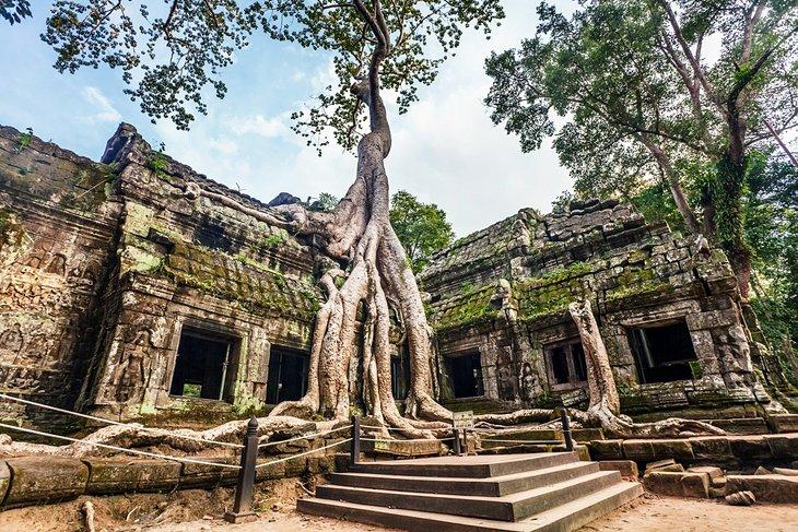 Angkor Wat (Parc archéologique d'Angkor)
