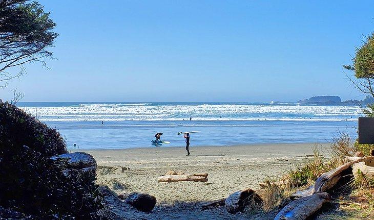 Vista de la playa desde Surf Grove Campground