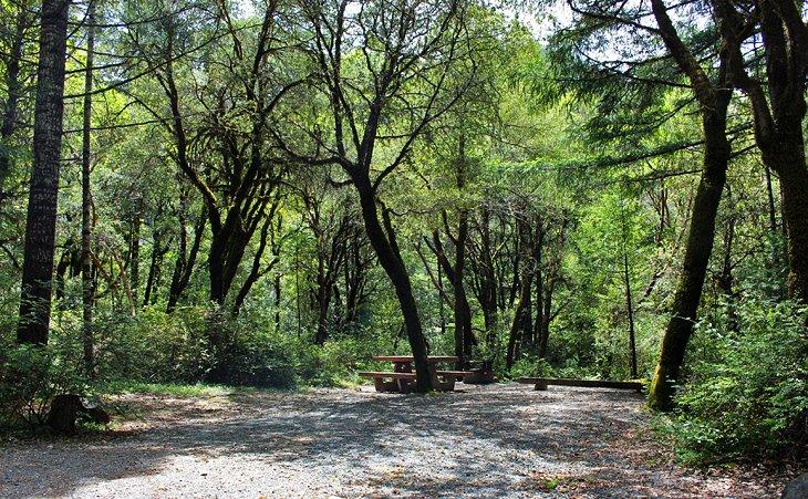 Campamento Grassy Flats