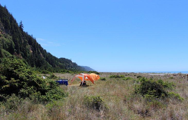 Campamento Gold Bluffs Beach
