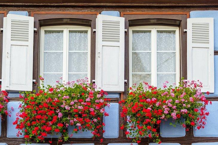 Décor floral à Eguisheim
