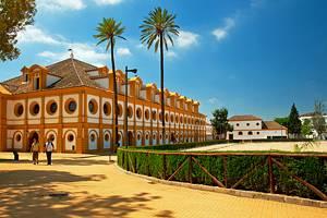 Divertidas excursiones desde Sevilla
