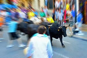 Atracciones turísticas en Pamplona