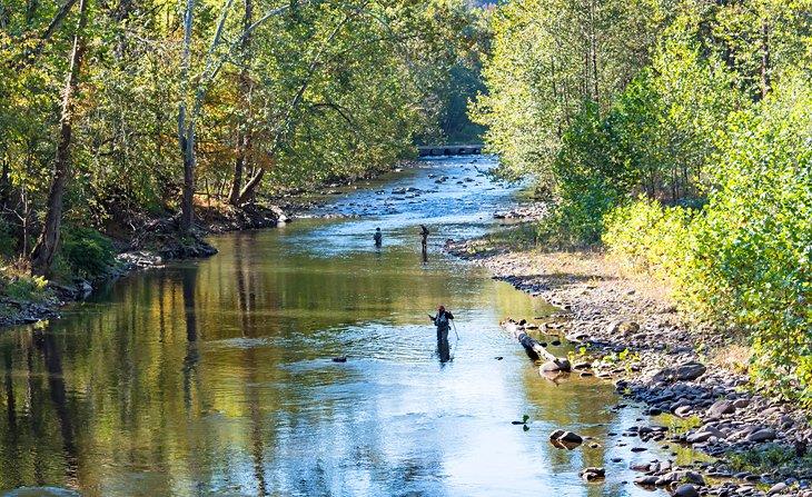 Fliegenfischen am Seneca Creek