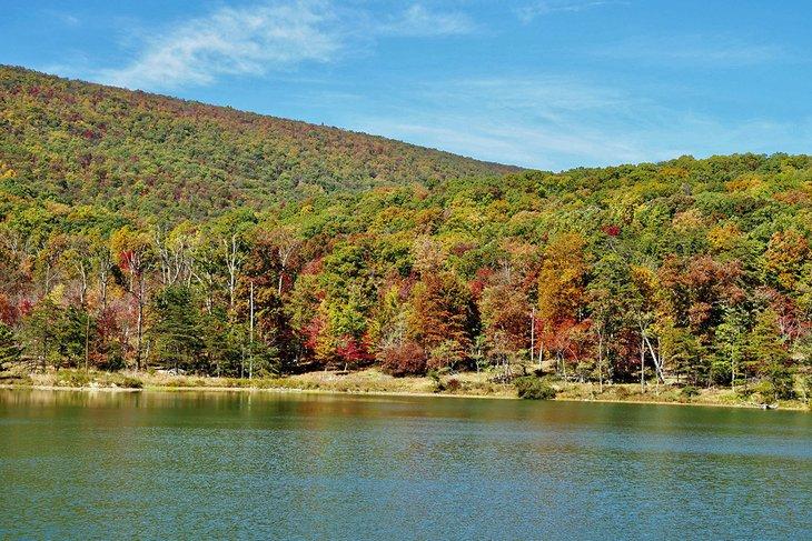 Cacapon Staatspark