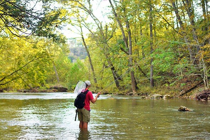 Fliegenfischen in West Virginia