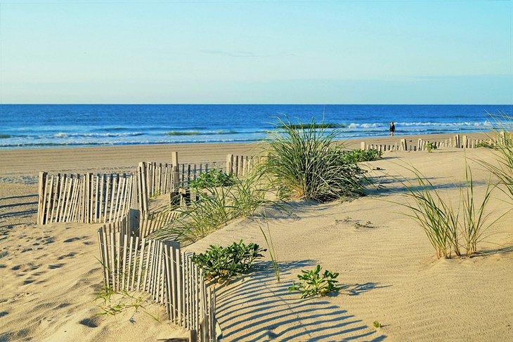 Playa de Stone Harbor